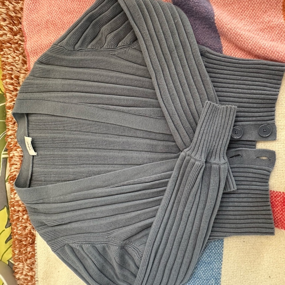 Wilfred Blue Sweater